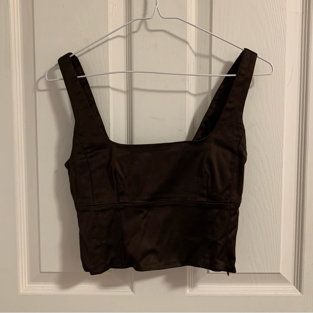 babaton aritzia shine bustier